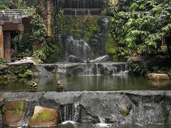 -吉隆坡雀鸟公园