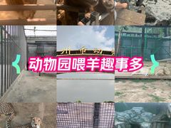 -郑州市动物园