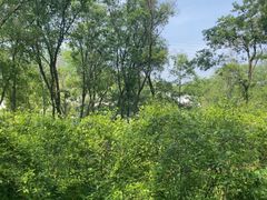 -西湖风景区-江洋畈生态公园