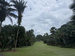 -新加坡植物园
