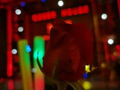 -TORA音乐酒馆