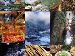 -南山植物园