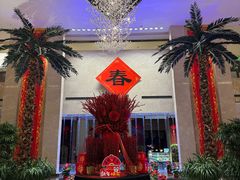 -常州环球恐龙城维景国际大酒店