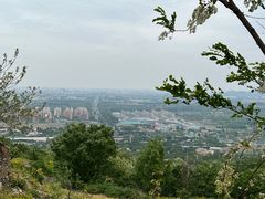 -阳台山自然风景区