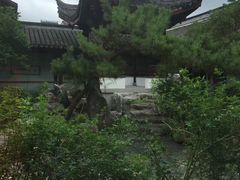 -碧丽宫大酒店(召稼楼店)