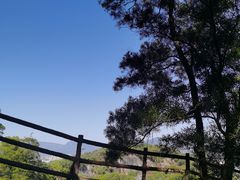-金鸡山公园