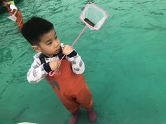 -奇尔思青少儿·语言·艺术·演讲(顾戴路店)