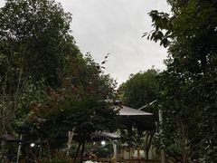 -张鸟园农家乐(张鸟园店)