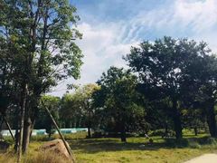 -三圣花乡旅游区