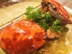 -茉莉.Red Crab