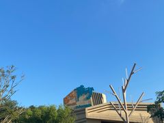 -朱家尖南沙景点