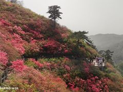 -木兰云雾山