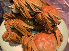 大闸蟹-金海湾自助餐厅(金陵饭店)