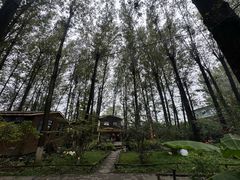 -林间山庄