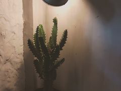 -Apollo·西班牙小酒馆(安福路店)