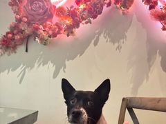 -北平花园·潮玩萌牙·北平咖啡(南锣鼓巷胡同店)