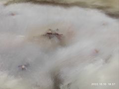 -派特宠物医院(圆融广场店)