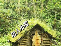 -峡谷浮石林景区