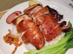 叉鹅肶饭-香辉食馆(新兴路店)