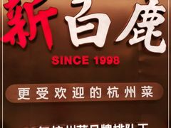-新白鹿餐厅(虹桥南丰城店)