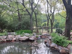 -东湖落雁景区