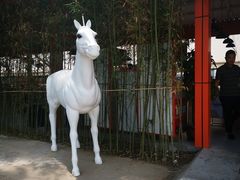 -向外鱼乐·土菜·虹鳟鱼