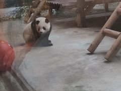 -西安秦岭野生动物园