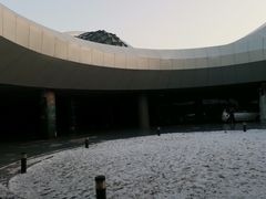 -哈尔滨大剧院