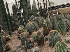 -南山植物园
