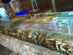 -蟹之国·精品蟹料理(极地店)