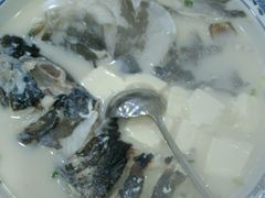 -全乐鱼馆·淳牌有机鱼直营店