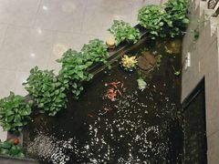 -五指生足疗保健(通州旗舰店)