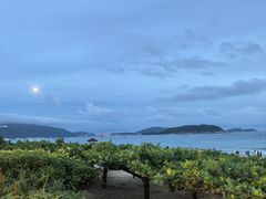 -渔家火锅·海鲜自助餐·演艺(亚龙湾天域酒店)