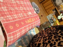 -大树装饰·十年本土家装