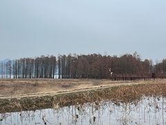 -四明湖