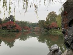 -西湖外事游船(花港观鱼码头)