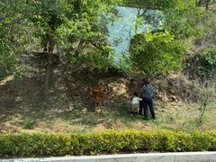 -大连森林动物园