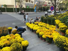 -芽庄中心购物广场