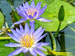 -国家植物园南园