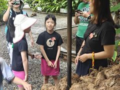 -大象粑粑造纸公园