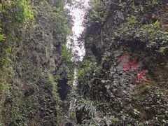 -峨眉山风景名胜区