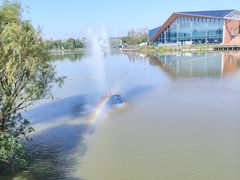 -上海长兴岛郊野公园