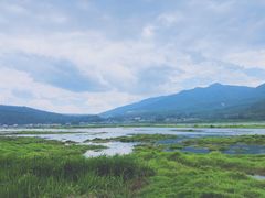 -腾冲北海湿地