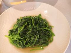 清炒菠菜-醉舍·新淮扬菜(长宁龙之梦店)