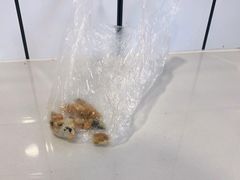 -徐氏糯米包油条(山海关路店)