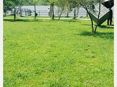 -风云岭森林公园