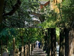 -天台山琼台仙谷景区
