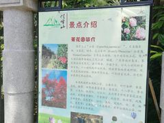 -广州市帽峰山景区