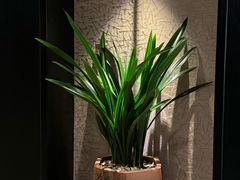 -京香轩·中餐厅(上海中庚聚龙酒店)