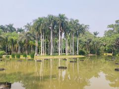 -中国科学院西双版纳热带植物园